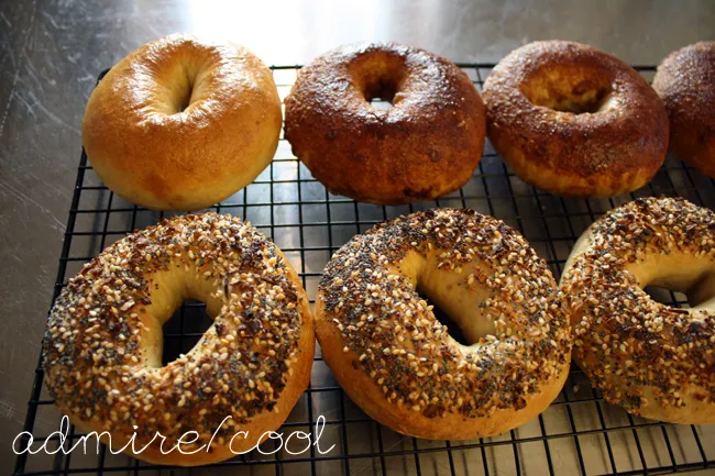 new york bagels