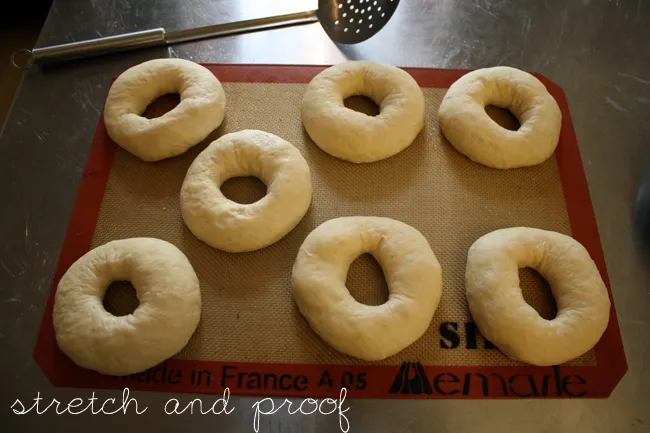 bagels, stretched a little more and proofed