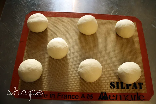 bagel dough, shaped into boules