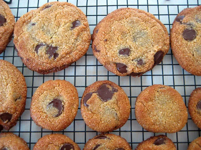 vegan gluten-free chocolate chip cookie dough