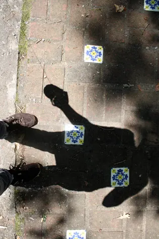 jen's shadow