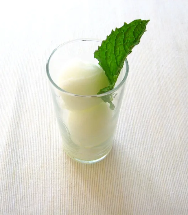 limoncello mint sorbet