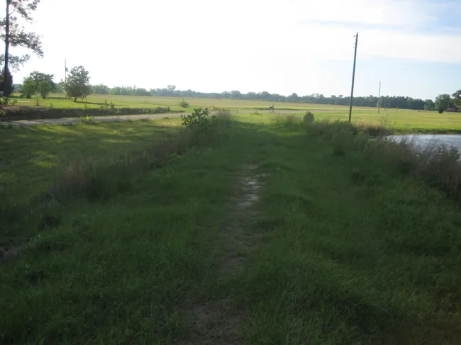 a bucolic, gently worn path