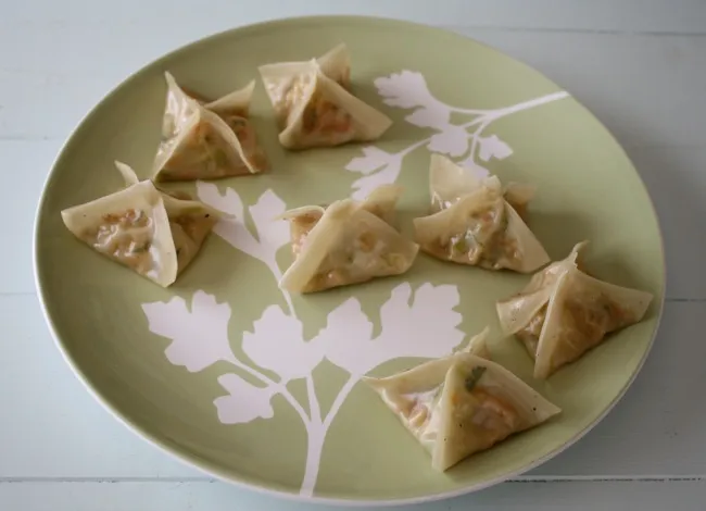 vegetable potstickers with dippin' sauce
