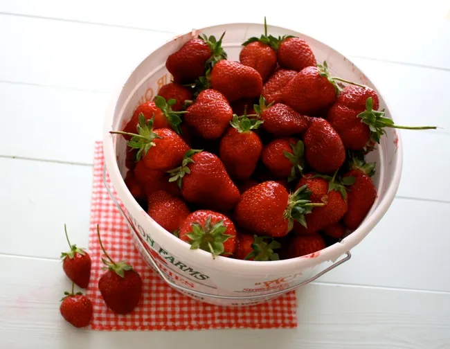 a gallon of fresh-picked strawberries
