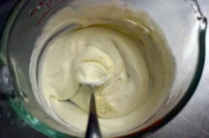 yogurt starter mixed with vanilla bean paste